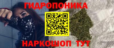 Альфа ПВП Пенза