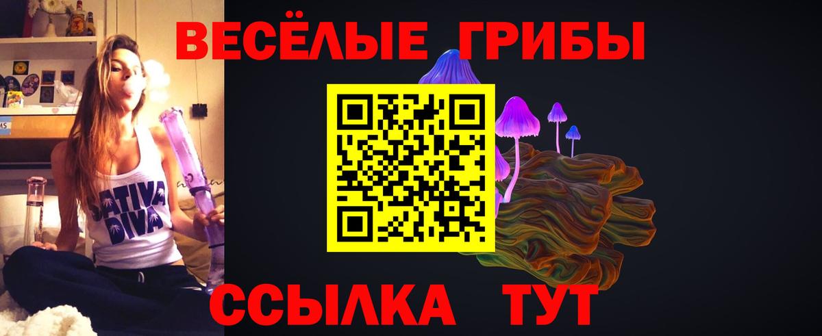 Псилоцибиновые грибы MAGIC MUSHROOMS Сочи